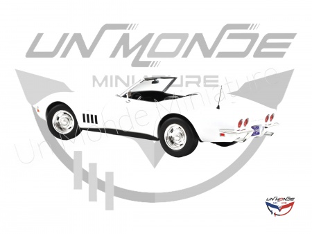 Chevrolet Corvette Convertible 1969 Can Am White