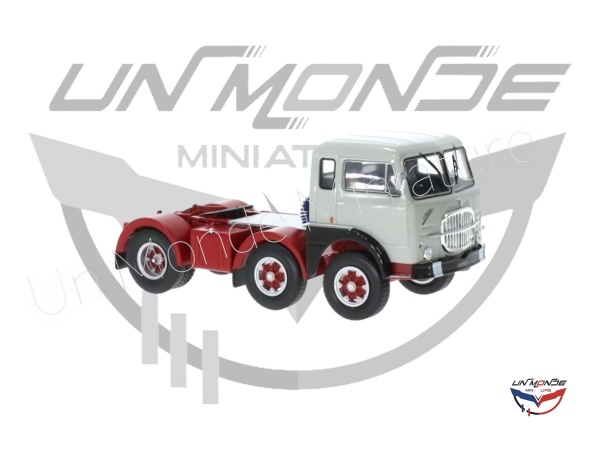 Camion miniature 1/43 par IXOMODELS, Collect World