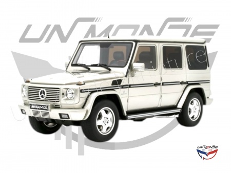 Mercedes-Benz G-Class 55 AMG 2003 Iridium Silver