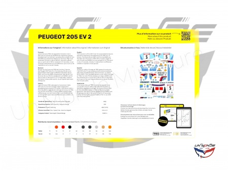 Peugeot 205 EV 2 STARTER KIT